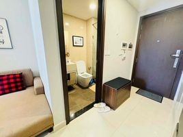 1 Phòng ngủ Chung cư for rent in Phường 12, TP.Hồ Chí Minh, Phường 12