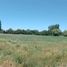  Land for sale in Chile, Machali, Cachapoal, Libertador General Bernardo Ohiggins, Chile