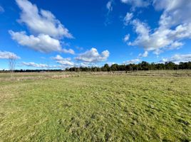  Land for sale in Chile, Frutillar, Llanquihue, Los Lagos, Chile