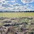  Land for sale in Chile, Frutillar, Llanquihue, Los Lagos, Chile