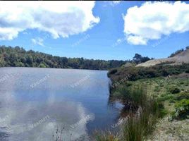  Land for sale in Chile, Puerto Montt, Llanquihue, Los Lagos, Chile