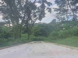  Land for sale in Xico, Veracruz, Xico