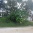  Land for sale in Xico, Veracruz, Xico