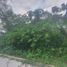  Land for sale in Xico, Veracruz, Xico