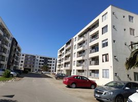 3 Habitación Apartamento en venta en Colegio Alonso de Ercilla, La Serena, Coquimbo