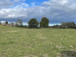  Land for sale in Chile, Los Muermos, Llanquihue, Los Lagos, Chile