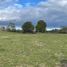  Land for sale in Los Muermos, Los Lagos, Los Muermos, Llanquihue