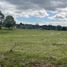  Land for sale in Chile, Los Muermos, Llanquihue, Los Lagos, Chile