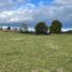  Land for sale in Chile, Los Muermos, Llanquihue, Los Lagos, Chile