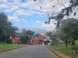  Land for sale in Xico, Veracruz, Xico
