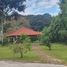  Land for sale in Xico, Veracruz, Xico