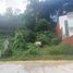  Land for sale in Xico, Veracruz, Xico