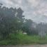  Land for sale in Xico, Veracruz, Xico