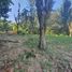  Land for sale in Xico, Veracruz, Xico