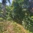  Land for sale in Xico, Veracruz, Xico