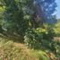  Land for sale in Xico, Veracruz, Xico