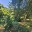  Land for sale in Xico, Veracruz, Xico
