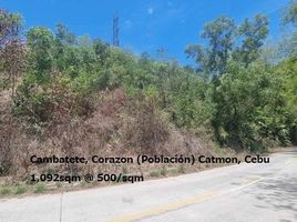  Land for sale in Catmon, Cebu, Catmon