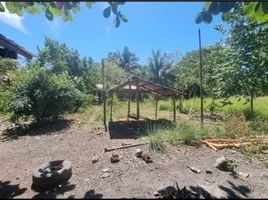  Land for sale in Catmon, Cebu, Catmon