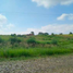  Land for sale in Acatic, Jalisco, Acatic