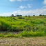  Land for sale in Acatic, Jalisco, Acatic