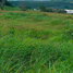  Land for sale in Acatic, Jalisco, Acatic