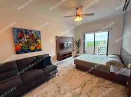Appartement 1 chambre à louer à Cozumel, Quintana Roo, Cozumel