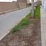  Land for sale in Carabayllo, Lima, Carabayllo, Lima, Lima