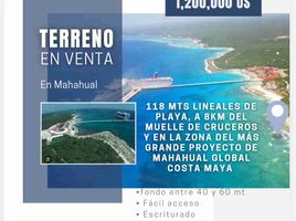  Grundstück zu verkaufen in Othon P Blanco, Quintana Roo, Othon P Blanco