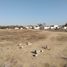  Terreno (Parcela) en venta en Puebla, Puebla, Puebla