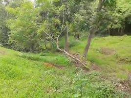  Terreno (Parcela) en venta en Cebu City, Central Visayas, Cebu City, Cebu, Central Visayas, Filipinas