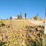  Terreno (Parcela) en venta en Cathedral of the Immaculate Conception, Cuenca, Cuenca, Cuenca