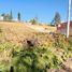  Terreno (Parcela) en venta en Cathedral of the Immaculate Conception, Cuenca, Cuenca, Cuenca