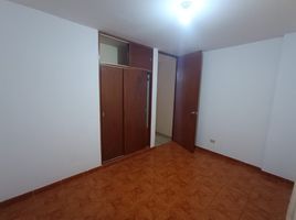 2 Bedroom Apartment for rent in Peru, Los Olivos, Lima, Lima, Peru