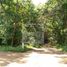 Land for sale in Dist Pochutla, Oaxaca, Dist Pochutla