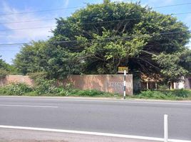  Land for sale in Asia, Cañete, Asia