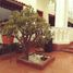 5 Habitación Villa en venta en Gustavo A Madero, Ciudad de México, Gustavo A Madero, Ciudad de México