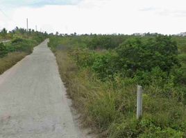  Grundstück zu verkaufen in Chicxulub Pueblo, Yucatan, Chicxulub Pueblo