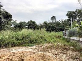  Terreno (Parcela) en venta en Sepang, Selangor, Dengkil, Sepang