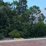  Land for sale in Cancun, Quintana Roo, Cancun, Quintana Roo