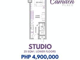 1 Bedroom Apartment for sale in Gil Puyat LRT-1, Pasay City, Pasay City