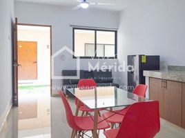 1 Bedroom Apartment for rent in Merida, Yucatan, Merida, Yucatan