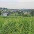  Land for sale in San Jose del Monte City, Bulacan, San Jose del Monte City