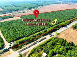  Terreno (Parcela) en venta en Lambayeque, Motupe, Lambayeque, Lambayeque