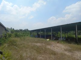  Land for sale in Kuala Selangor, Selangor, Api-Api, Kuala Selangor