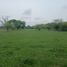  Land for sale in Cali, Valle Del Cauca, Cali