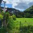  Terrain for sale in Chontabamba, Oxapampa, Chontabamba