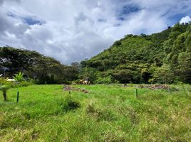  Terrain for sale in Chontabamba, Oxapampa, Chontabamba