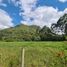  Terrain for sale in Chontabamba, Oxapampa, Chontabamba