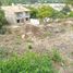  Land for sale in Puerto Vallarta, Jalisco, Puerto Vallarta